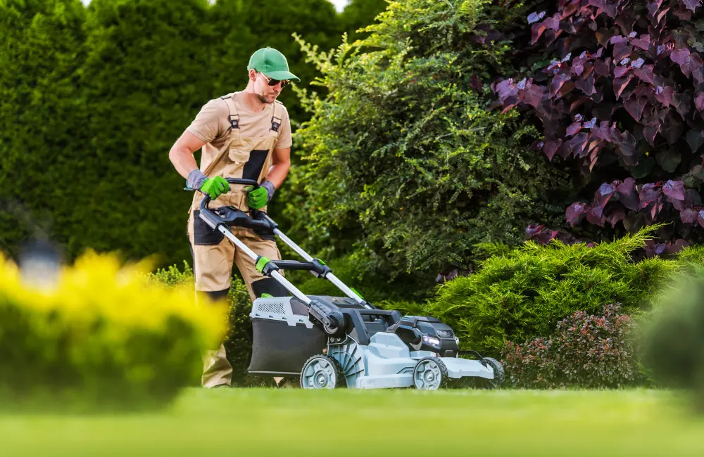 cleaning & ground maintenance